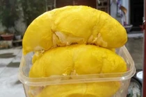 Chỉ cần nhìn đặc điểm này, bạn sẽ chọn được quả sầu riêng ngon