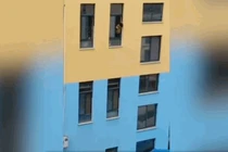 Video: Trẻ mẫu giáo trượt chân rơi từ tầng 3 xuống dưới