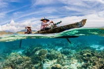 Loạt ảnh dưới nước thay đổi cách nhìn về đại dương