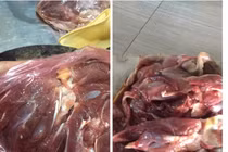 Lừa đảo trắng trợn: Hô biến gà đông lạnh thành đà điểu