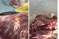 Lừa đảo trắng trợn: Hô biến gà đông lạnh thành đà điểu