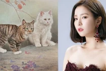 3 con giáp gặp vận vàng son, may mắn phát tài trong 49 ngày tới