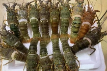 Đặt mâm hải sản đầy tôm cua với giá chỉ 250.000 đồng và cái kết