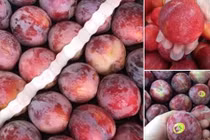 Mận Nhật - Mỹ đổ về Việt Nam: Giá gần 1 triệu/kg vẫn đắt khách