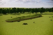 DNA dị thường từ mộ cổ tiết lộ cây gia phả cổ xưa nhất thế giới