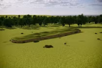 DNA dị thường từ mộ cổ tiết lộ cây gia phả cổ xưa nhất thế giới