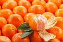 Chị bán hoa quả tiết lộ 4 cách chọn quýt đường ngọt