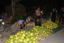 'Chợ' chỉ bán duy nhất một thứ quả, toả mùi thơm ai cũng muốn ăn