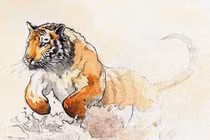 Con giáp nào nên sinh con trong năm 2022 để kích tài lộc