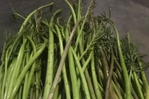 Xưa dùng để chống đói, nay trồng loại rau này kiếm tiền triệu mỗi ngày