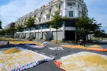 Nông dân phơi thóc vàng ươm trên con đường shophouse tiền tỷ