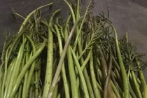 Xưa dùng để chống đói, nay trồng loại rau này kiếm tiền triệu mỗi ngày