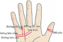 Bàn tay có 3 điểm này chủ nhân làm gì cũng gặp may mắn