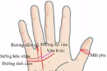 Bàn tay có 3 điểm này chủ nhân làm gì cũng gặp may mắn