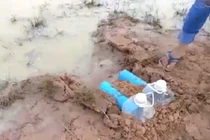 Video: Bắt cả túi ếch đồng “khủng” chỉ bằng 2 can nhựa