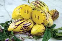 Kiếm tiền triệu mỗi ngày từ dưa Pepino