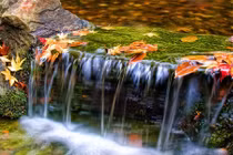 Con người sao cứ phải tham lam truy cầu?