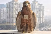 Top khoảnh khắc trùng hợp diệu kỳ