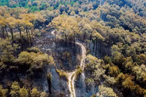 Video: Cảnh hoang tàn ở rừng phòng hộ bị lửa thiêu 3 ngày nhìn từ trên cao