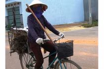 Người đàn bà 42 năm bám nghề mua chó