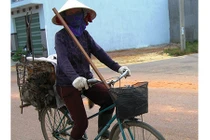 Người đàn bà 42 năm bám nghề mua chó