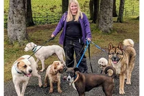 Chuyên gia về chó bị chính chó của mình tấn công kinh hoàng