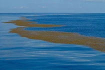 Kỳ lạ về vùng biển duy nhất trên thế giới không có bờ