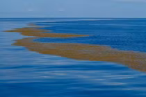 Kỳ lạ về vùng biển duy nhất trên thế giới không có bờ