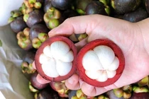 Măng cụt ngập chợ, cách chọn để 10 quả ngon ngọt cả 10