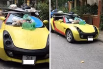 Ôtô bị viết bậy, đổ đầy rác vì đỗ chắn lối vào nhà