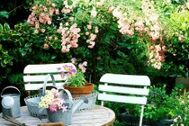 Cố đuổi việc osin, nam trưởng phòng nhận tin "sét đánh"