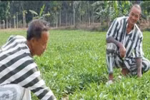 Ông trùm giang hồ Hải bánh (Kỳ cuối): Tiếc cho 1 con người tài hoa