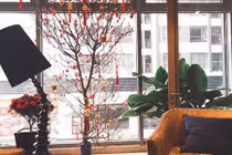 Thăm căn nhà 7 tỷ đồng nơi đất vàng ở thủ đô của Mạnh Trường