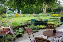 Cú điện thoại bất ngờ từ anh họ tiết lộ bí mật của chồng