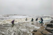 Hàng tấn sò mai theo sóng dạt vào bờ, người dân kéo nhau đi vợt