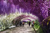 Kinh ngạc trước những hiện tượng thiên nhiên ngoạn mục nhất TG