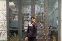 Tiểu thương đua nhau livestream rao bán cây lạ