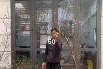 Tiểu thương đua nhau livestream rao bán cây lạ