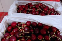 Cận Tết, hoa quả ngoại đầy ắp các siêu thị, người mua thưa vắng