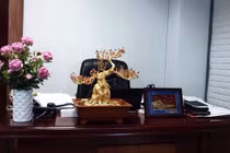 Độc đáo cây Đào Tiến Vua dát vàng