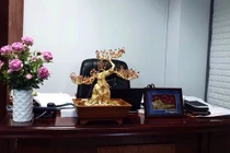 Độc đáo cây Đào Tiến Vua dát vàng