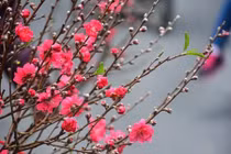 Những kiêng kị trong tháng Chạp (tháng 12 âm) bạn cần biết