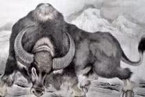 Bước sang tháng 12 dương, top 3 con giáp giàu nứt khố đổ vách