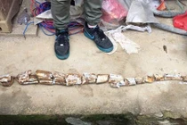 TQ: Đổ móng nhà, phát hiện vật quý hiếm vạn năm tuổi