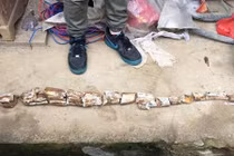 TQ: Đổ móng nhà, phát hiện vật quý hiếm vạn năm tuổi