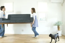 Mẹo đơn giản đuổi vận xui, rước may mắn cho ngôi nhà