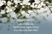 Nếu bạn đã có gia đình hãy đọc ngay bài này kẻo hối hận thì quá muộn