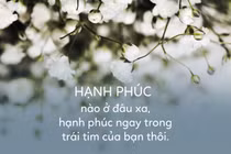 Nếu bạn đã có gia đình hãy đọc ngay bài này kẻo hối hận thì quá muộn