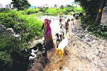 Màn kịch trơ tráo và cái kết bất ngờ của kẻ cưỡng bức 2 bé gái cùng lúc