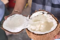 Dừa sáp đi máy bay sang Úc bán giá 600 nghìn đồng/quả